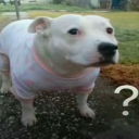 L V L 7 Discord server icon