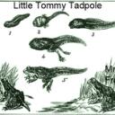 Tadpole  ©  RP | PVE    Discord Server Icon