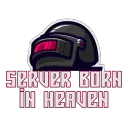 Server Born In Heaven