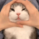 Cosmos Guild Server Icon