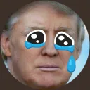 トランプのトランポリン、トランプリン