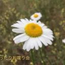 まったりお喋り会