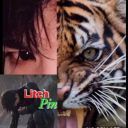 💀 skeleton crew Discord server icon