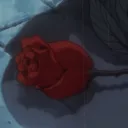 Rose Petals