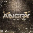 ANGRY WOLVES E-SPORTS