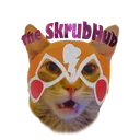 The SkrubHub