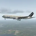 Sim's Fans