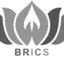 BRICS Forces