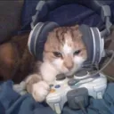 Gatito´s Server