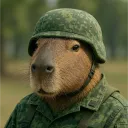 aaa