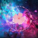 🌺 Little Flower Fields 🌺