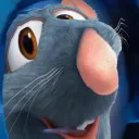 rat
