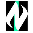 NTeam RP® icon