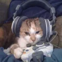 Nocturne Ops