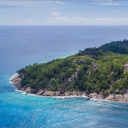 Paradise Server Icon