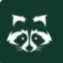 FC RACCOON