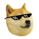 Doggo Server