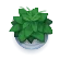 Founder Growth
