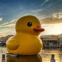 bigduckembassy