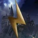 ✦⋆⋇ The Wizarding World ⋇⋆✦