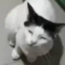 𝕄𝕚𝕝𝕜-𝕊𝕙𝕒𝕜𝕖🥛🍼