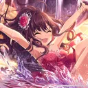 交流所