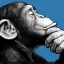 Shadow Monkeys INC