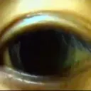 クロノスクイズ王