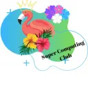 IEEE Supercomputing @ UCSD
