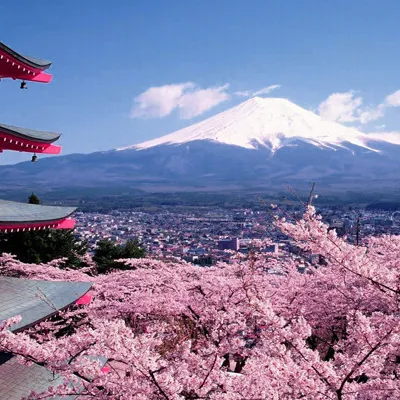 burn this moment into the retina of my eye — мониторинг Discord сервера, статистика и рейтинг