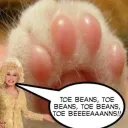 Toe BEANS