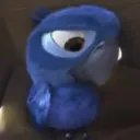 meow Discord Server Icon