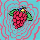 Wraspberry’s Community