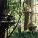 Ewok8080's Tree House