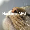 Hashima ARG