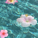 Tropical Escape