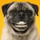 PugCord™
