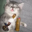 ☆ shit talking stoners ☆