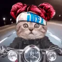 Валь Коты