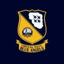 Virtual Navy Blue Angels
