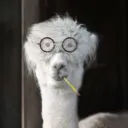 twitch.tv/lama_tomas