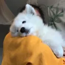 ⌏mochiji's portal ;; 100+⌌