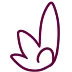 RAFLY SERVER