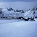 Pengu's Artic