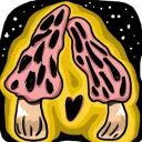 thesalalmon's Morel Support Squad