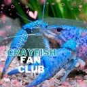 crayfish fan club