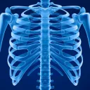 Slipping Rib Syndrome