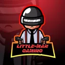 Littleman 9889's server