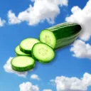 Gurkis Community Discord Server Icon