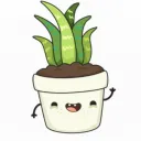 🍀Aloe's Garden🍀